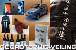 De grote Zuid-Veiling staat online!