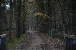 Fietser gewond na aanrijding met trein, treinverkeer plat