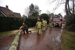 Stormschade door boom in Blaricum