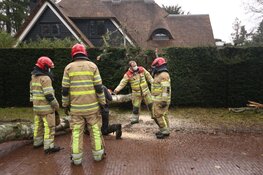 Stormschade door boom in Blaricum