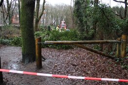 Brandweer op pad in Huizen door loshangende takken