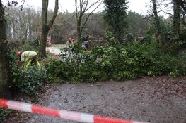 Brandweer op pad in Huizen door loshangende takken