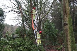 Brandweer op pad in Huizen door loshangende takken