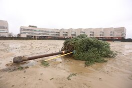 Stormschade in Huizen