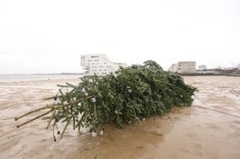 Stormschade in Huizen