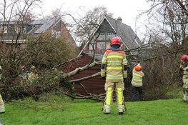 Boom belandt op schuurtje in Weesp
