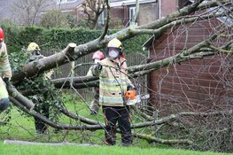 Boom belandt op schuurtje in Weesp