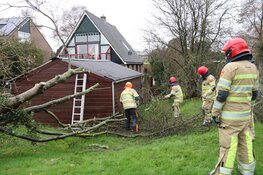 Boom belandt op schuurtje in Weesp