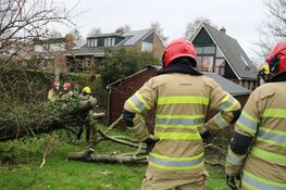 Boom belandt op schuurtje in Weesp