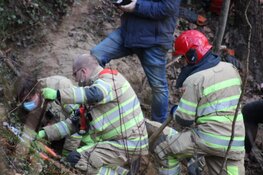 Hond vast in vossenhol in Huizen