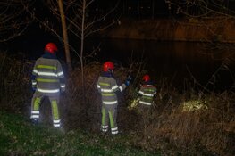 Auto crasht tegen boom in Hilversum, bestuurder op de vlucht