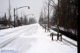 Winterse zondag in beeld