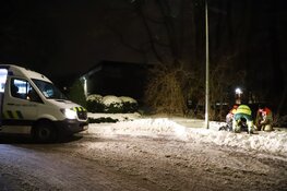 Zwaan uit nare situatie gered door brandweer in Naarden