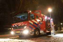 Zwaan uit nare situatie gered door brandweer in Naarden