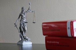 Politieagent die verwarde man bij begraafplaats in ‘s-Graveland neerschoot, handelde uit noodweer