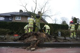 Boom waait om op woning in Huizen