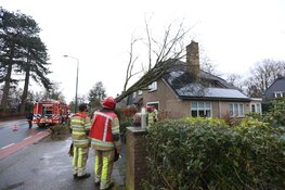 Boom waait om op woning in Huizen