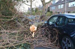 Boom belandt op auto in Naarden