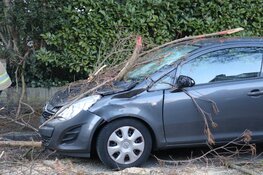 Boom belandt op auto in Naarden