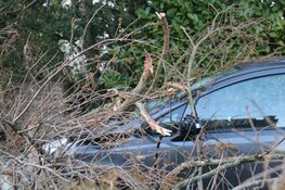 Boom belandt op auto in Naarden