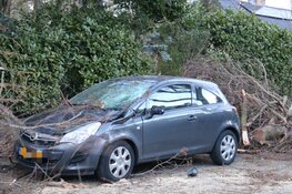 Boom belandt op auto in Naarden
