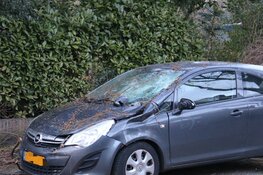 Boom belandt op auto in Naarden