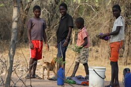 Binga-Support zamelt geld in voor Zimbabwe