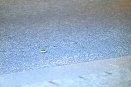 Schietincident in Hilversum, politie doet onderzoek