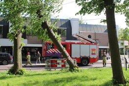 Grote boom omgewaaid langs de Havenstraat in Huizen