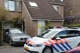 Hennepplantage aangetroffen in woning in Huizen