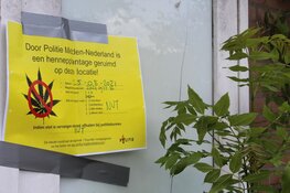 Hennepplantage aangetroffen in woning in Huizen