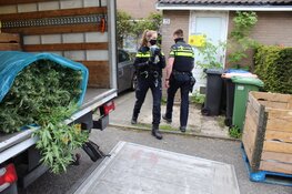 Hennepplantage aangetroffen in woning in Huizen