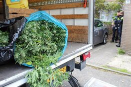 Hennepplantage aangetroffen in woning in Huizen