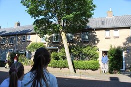 Boom gevaarlijk scheef geraakt door vrachtwagen in Huizen, brandweer ter plaatse