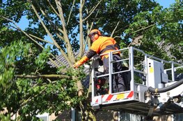 Boom gevaarlijk scheef geraakt door vrachtwagen in Huizen, brandweer ter plaatse