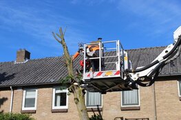 Boom gevaarlijk scheef geraakt door vrachtwagen in Huizen, brandweer ter plaatse