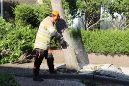 Boom gevaarlijk scheef geraakt door vrachtwagen in Huizen, brandweer ter plaatse