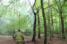 Brandweer voorkomt mogelijke bosbrand in Huizen