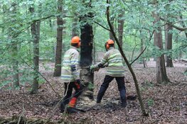 Brandweer voorkomt mogelijke bosbrand in Huizen