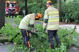 Grote tak valt op busje in Huizen