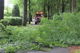 Grote tak valt op busje in Huizen