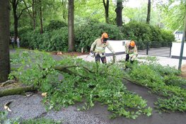Grote tak valt op busje in Huizen