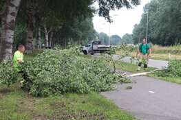 Brandweer snoeit boom uit voorzorg vanwege wind
