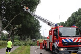 Brandweer snoeit boom uit voorzorg vanwege wind
