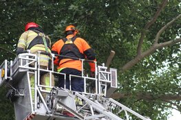 Brandweer snoeit boom uit voorzorg vanwege wind