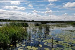 Provincie zet volgende fase in voor Schil Naardermeer