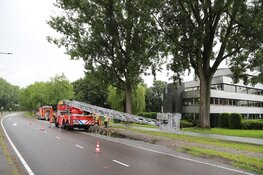 Deel van boom losgescheurd in Naarden