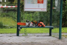 Deel van boom losgescheurd in Naarden