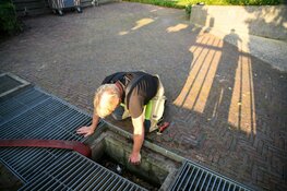 Eendje verstrikt geraakt in afwateringsput Loosdrecht