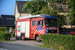 Eendje verstrikt geraakt in afwateringsput Loosdrecht